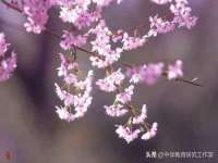 徐州阿赛一网络科技有限公司