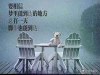 徐州阿赛一网络科技有限公司