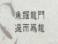 徐州阿赛一网络科技有限公司