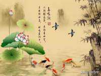 徐州阿赛一网络科技有限公司