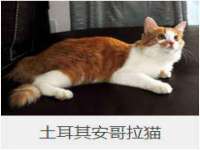 徐州阿赛一网络科技有限公司
