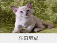 徐州阿赛一网络科技有限公司