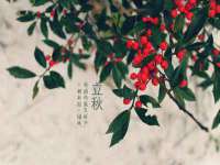 徐州阿赛一网络科技有限公司