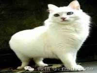 徐州阿赛一网络科技有限公司