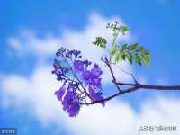 徐州阿赛一网络科技有限公司