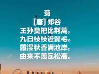 徐州阿赛一网络科技有限公司