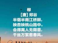 徐州阿赛一网络科技有限公司