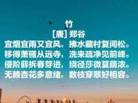 徐州阿赛一网络科技有限公司