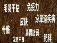 徐州阿赛一网络科技有限公司
