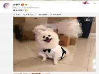 徐州阿赛一网络科技有限公司