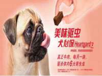 徐州阿赛一网络科技有限公司