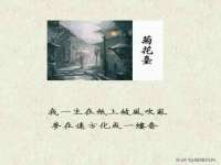 徐州阿赛一网络科技有限公司