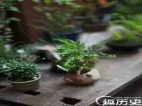 徐州阿赛一网络科技有限公司