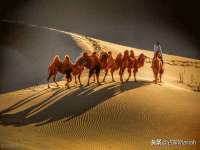 徐州阿赛一网络科技有限公司