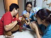 徐州阿赛一网络科技有限公司