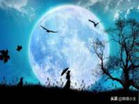 徐州阿赛一网络科技有限公司