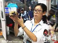 徐州阿赛一网络科技有限公司