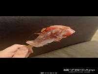 徐州阿赛一网络科技有限公司